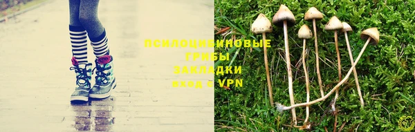 винт Балахна
