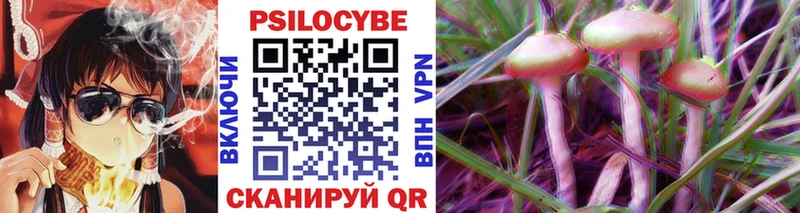 Купить  Судогда  Галлюциногенные грибы Psilocybine cubensis 