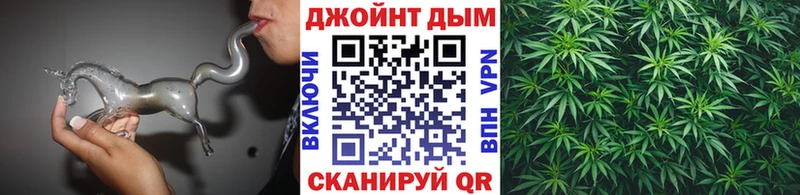 Каннабис сатива  Купить закладки  Судогда 